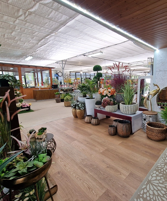 Sobre N&oacute;s Organiza&ccedil;&atilde;o